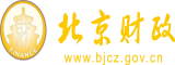 啊啊啊啊大鸡北京市财政局