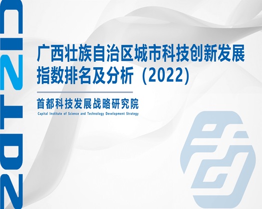 欧洲骚屄【成果发布】广西壮族自治区城市科技创新发展指数排名及分析（2022）